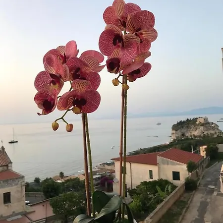 Residenza Luce Sul Mare * Tropea